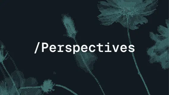 Perspectives category illustration